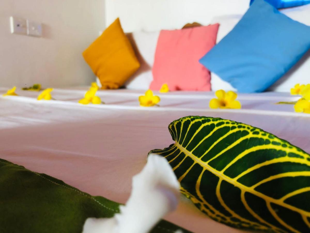 טנגלה Rock Paradise Beach Hotel & Restaurent מראה חיצוני תמונה